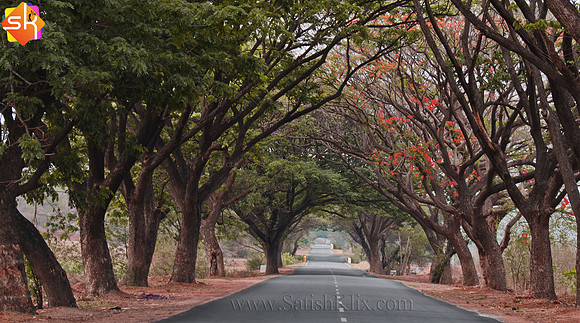 Canopy on Srisailam Road