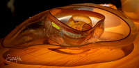 Chihuly Garden and Glass