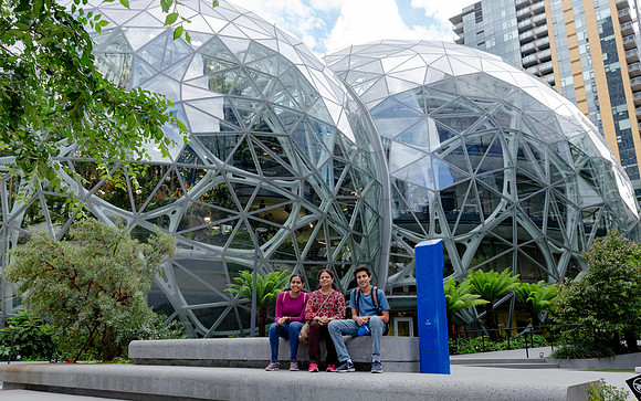 Amazon Spheres