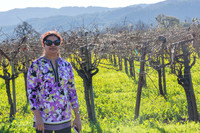Napa