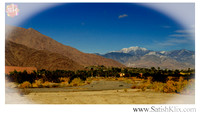 Palmsprings